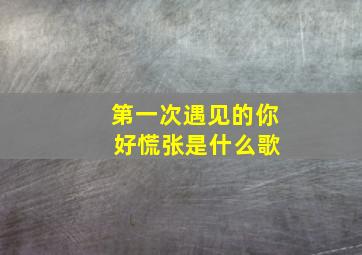 第一次遇见的你 好慌张是什么歌